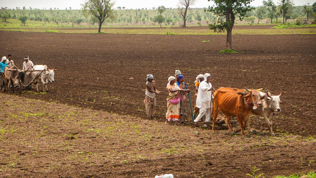 Khajuraho Nature Bio Foods Europe